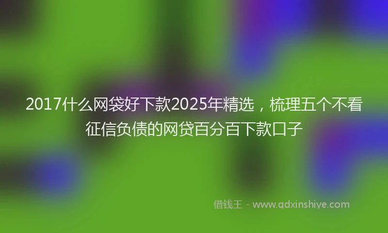 2017什么网袋好下款2025年精选，梳理五个不看征信负债的网贷百分百下款口子