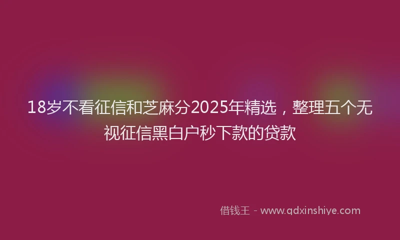 18岁不看征信和芝麻分2025年精选，整理五个无视征信黑白户秒下款的贷款