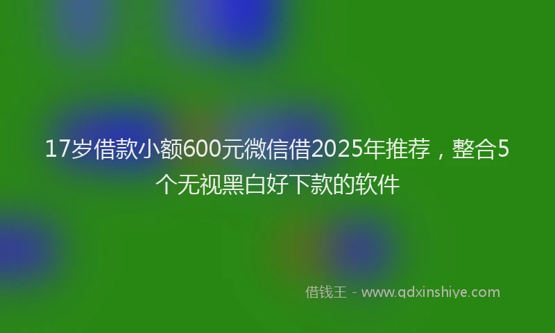 17岁借款小额600元微信借2025年推荐，整合5个无视黑白好下款的软件