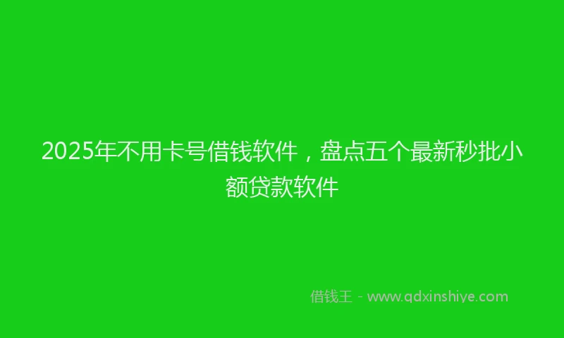 2025年不用卡号借钱软件，盘点五个最新秒批小额贷款软件