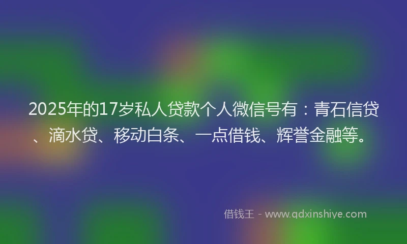 2025年的17岁私人贷款个人微信号有：青石信贷、滴水贷、移动白条、一点借钱、辉誉金融等。