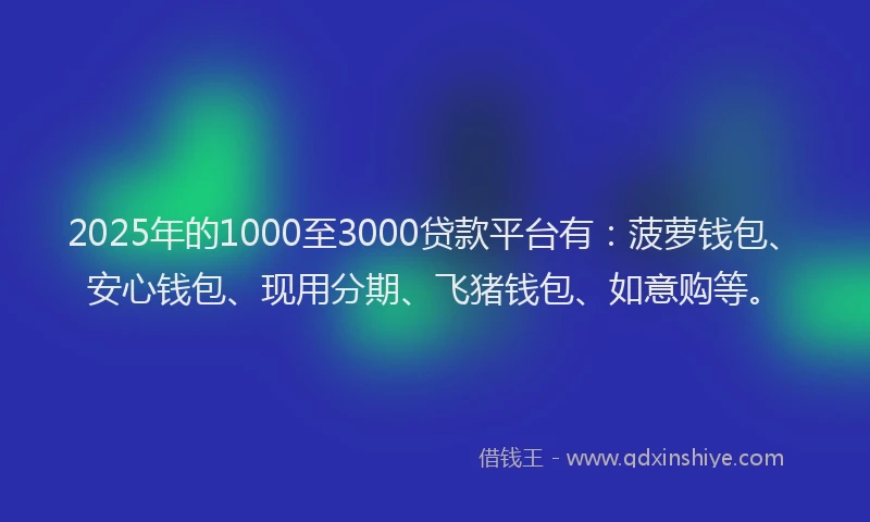 2025年的1000至3000贷款平台有：菠萝钱包、安心钱包、现用分期、飞猪钱包、如意购等。