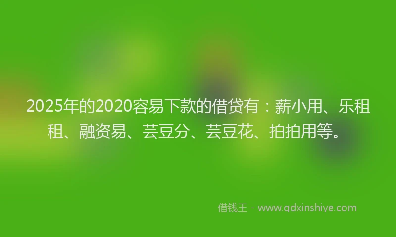 2025年的2020容易下款的借贷有：薪小用、乐租租、融资易、芸豆分、芸豆花、拍拍用等。