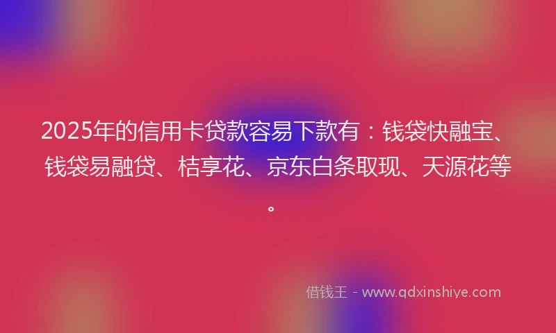 2025年的信用卡贷款容易下款有：钱袋快融宝、钱袋易融贷、桔享花、京东白条取现、天源花等。