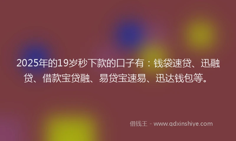 2025年的19岁秒下款的口子有：钱袋速贷、迅融贷、借款宝贷融、易贷宝速易、迅达钱包等。