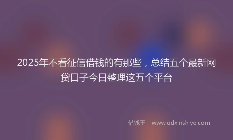 2025年不看征信借钱的有那些，总结五个最新网贷口子今日整理这五个平台