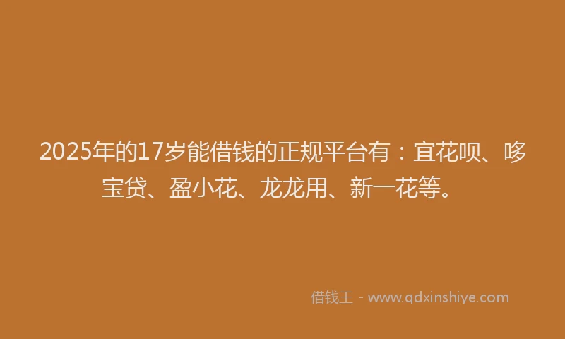 2025年的17岁能借钱的正规平台有：宜花呗、哆宝贷、盈小花、龙龙用、新一花等。