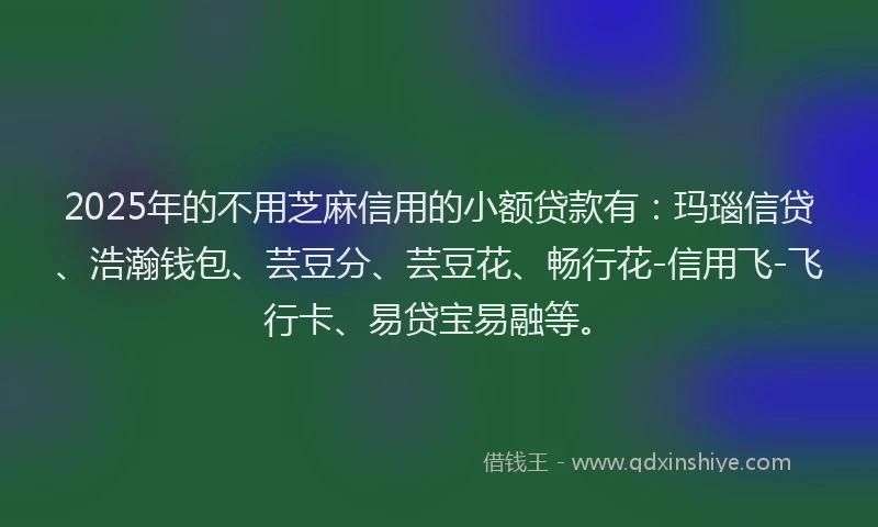 2025年的不用芝麻信用的小额贷款有：玛瑙信贷、浩瀚钱包、芸豆分、芸豆花、畅行花-信用飞-飞行卡、易贷宝易融等。
