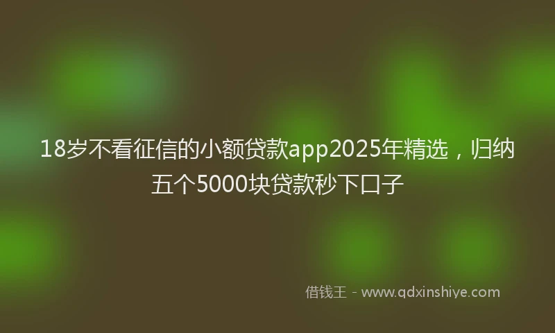 18岁不看征信的小额贷款app2025年精选，归纳五个5000块贷款秒下口子