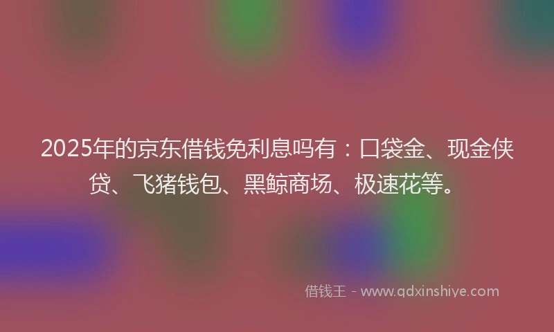 2025年的京东借钱免利息吗有：口袋金、现金侠贷、飞猪钱包、黑鲸商场、极速花等。