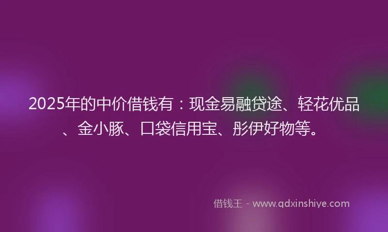 2025年的中价借钱有：现金易融贷途、轻花优品、金小豚、口袋信用宝、彤伊好物等。