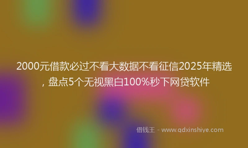 2000元借款必过不看大数据不看征信2025年精选，盘点5个无视黑白100%秒下网贷软件
