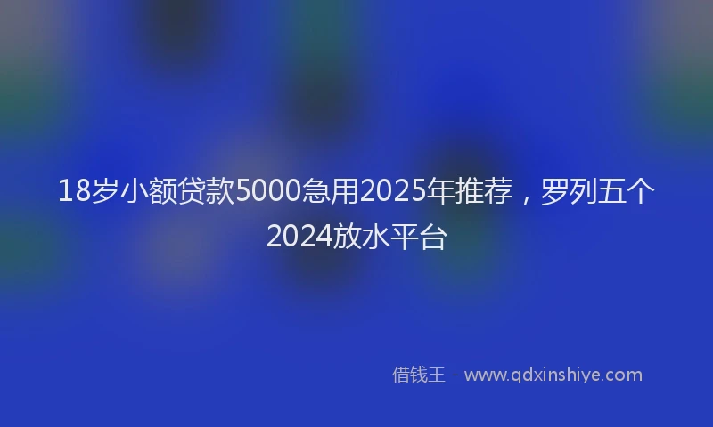 18岁小额贷款5000急用2025年推荐，罗列五个2024放水平台