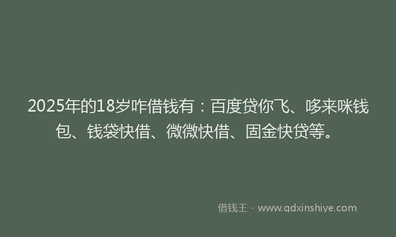 2025年的18岁咋借钱有：百度贷你飞、哆来咪钱包、钱袋快借、微微快借、固金快贷等。