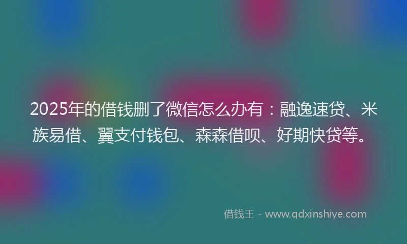 2025年的借钱删了微信怎么办有：融逸速贷、米族易借、翼支付钱包、森森借呗、好期快贷等。