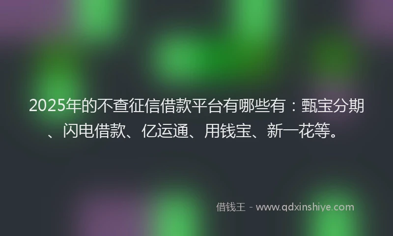 2025年的不查征信借款平台有哪些有：甄宝分期、闪电借款、亿运通、用钱宝、新一花等。