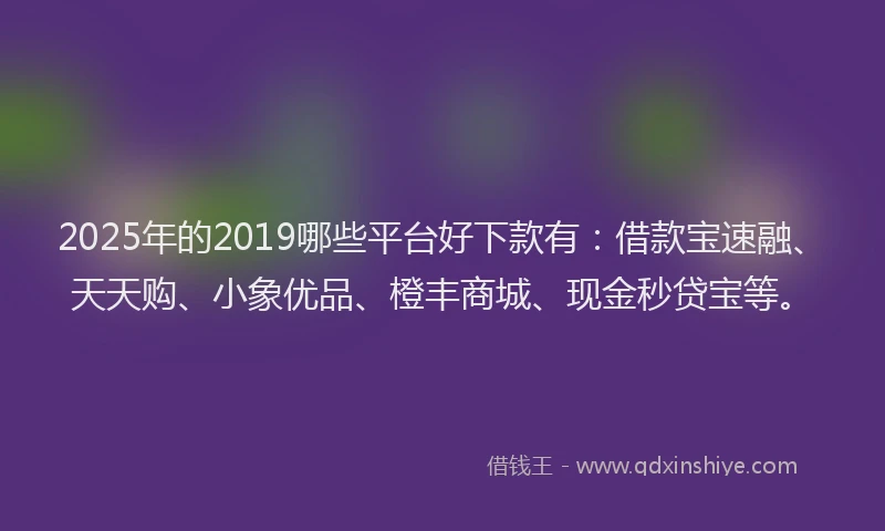 2025年的2019哪些平台好下款有：借款宝速融、天天购、小象优品、橙丰商城、现金秒贷宝等。