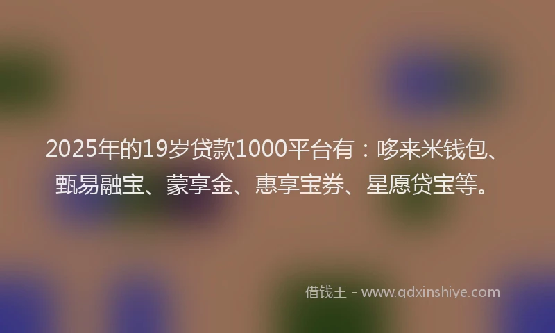 2025年的19岁贷款1000平台有：哆来米钱包、甄易融宝、蒙享金、惠享宝券、星愿贷宝等。