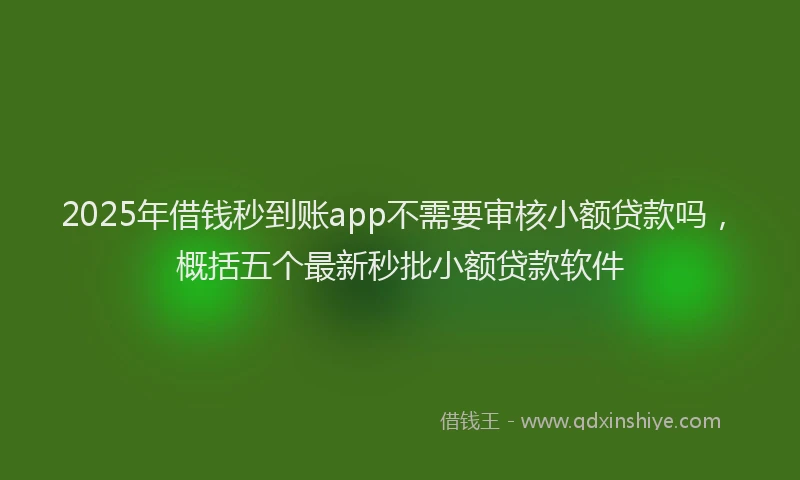 2025年借钱秒到账app不需要审核小额贷款吗，概括五个最新秒批小额贷款软件