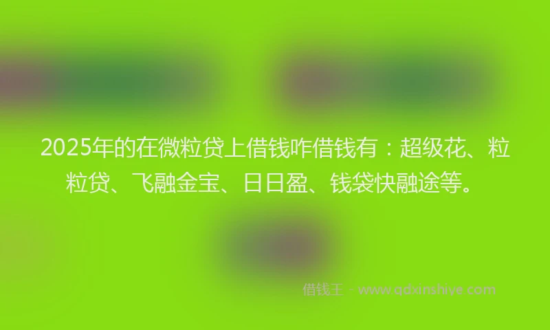 2025年的在微粒贷上借钱咋借钱有：超级花、粒粒贷、飞融金宝、日日盈、钱袋快融途等。