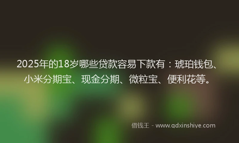 2025年的18岁哪些贷款容易下款有：琥珀钱包、小米分期宝、现金分期、微粒宝、便利花等。