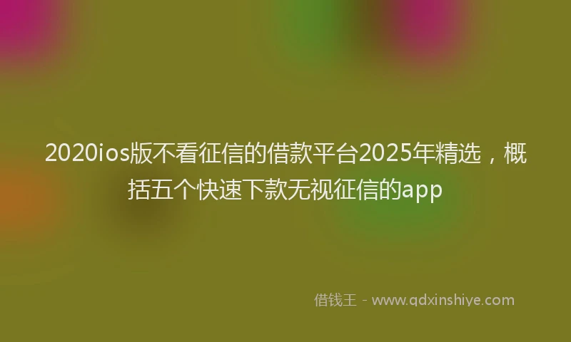 2020ios版不看征信的借款平台2025年精选，概括五个快速下款无视征信的app