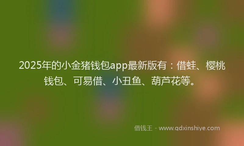 2025年的小金猪钱包app最新版有：借蛙、樱桃钱包、可易借、小丑鱼、葫芦花等。