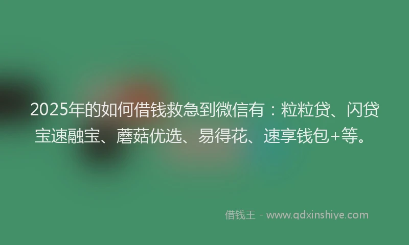 2025年的如何借钱救急到微信有：粒粒贷、闪贷宝速融宝、蘑菇优选、易得花、速享钱包+等。