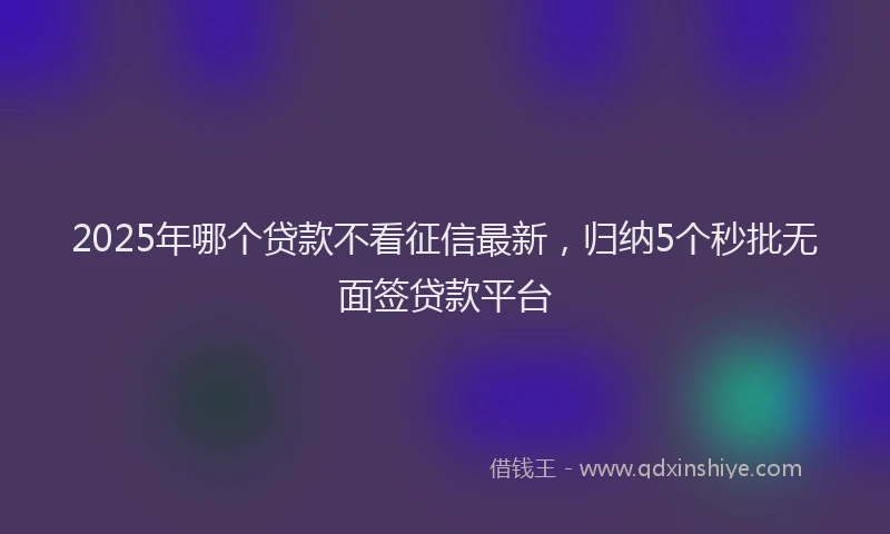 2025年哪个贷款不看征信最新，归纳5个秒批无面签贷款平台