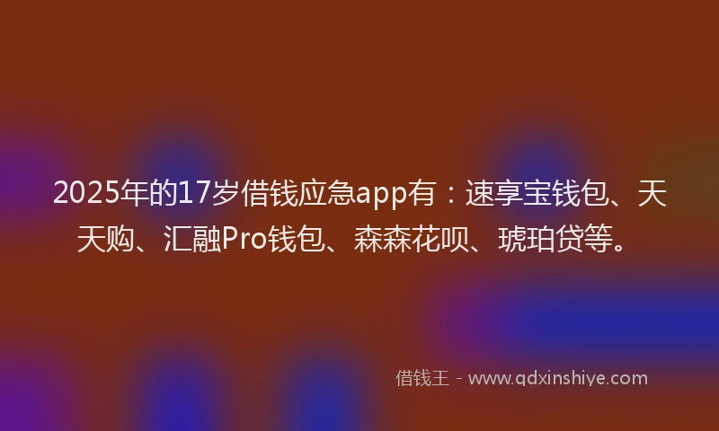 2025年的17岁借钱应急app有：速享宝钱包、天天购、汇融Pro钱包、森森花呗、琥珀贷等。