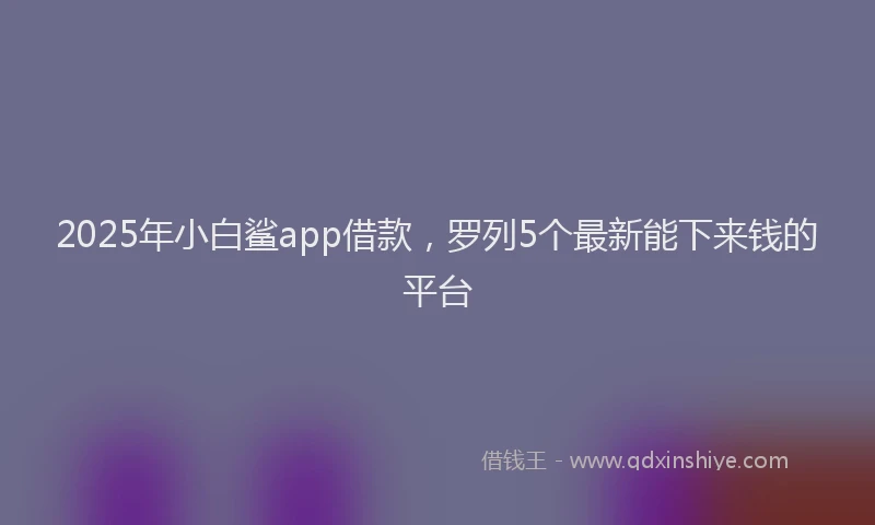 2025年小白鲨app借款，罗列5个最新能下来钱的平台