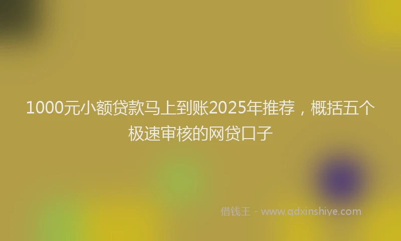 1000元小额贷款马上到账2025年推荐，概括五个极速审核的网贷口子
