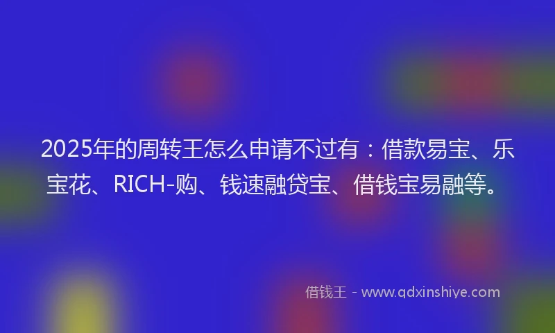 2025年的周转王怎么申请不过有：借款易宝、乐宝花、RICH-购、钱速融贷宝、借钱宝易融等。