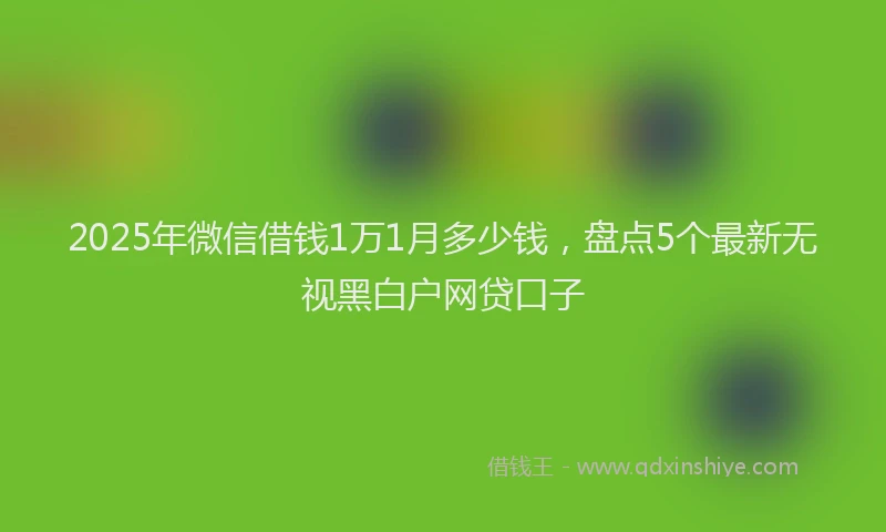 2025年微信借钱1万1月多少钱，盘点5个最新无视黑白户网贷口子