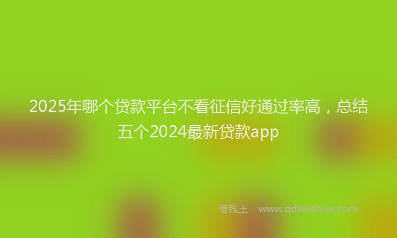 2025年哪个贷款平台不看征信好通过率高，总结五个2024最新贷款app
