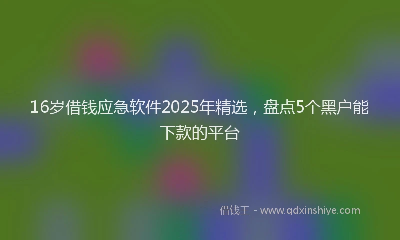 16岁借钱应急软件2025年精选，盘点5个黑户能下款的平台