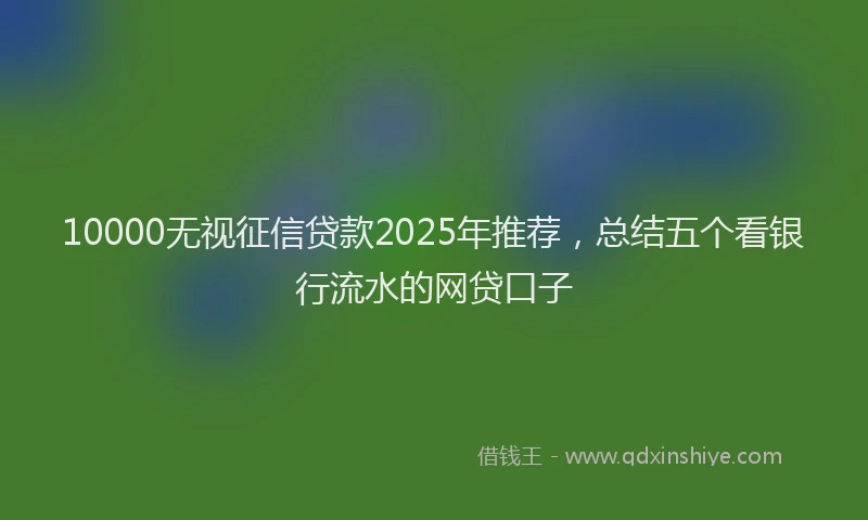 10000无视征信贷款2025年推荐，总结五个看银行流水的网贷口子