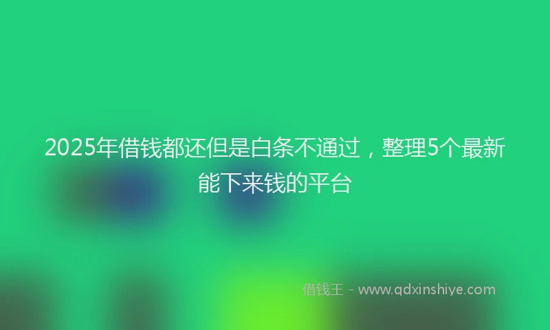 2025年借钱都还但是白条不通过，整理5个最新能下来钱的平台