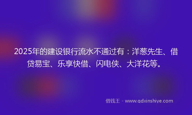 2025年的建设银行流水不通过有：洋葱先生、借贷易宝、乐享快借、闪电侠、大洋花等。