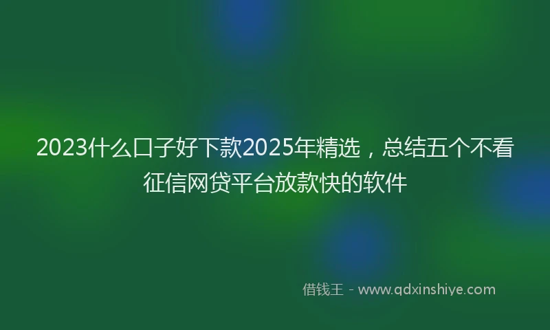 2023什么口子好下款2025年精选，总结五个不看征信网贷平台放款快的软件