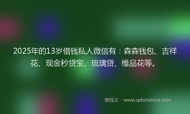 2025年的13岁借钱私人微信有：森森钱包、吉祥花、现金秒贷宝、琉璃贷、维品花等。