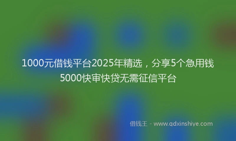 1000元借钱平台2025年精选，分享5个急用钱5000快审快贷无需征信平台