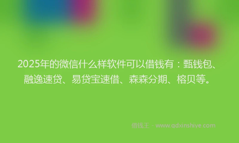 2025年的微信什么样软件可以借钱有：甄钱包、融逸速贷、易贷宝速借、森森分期、榕贝等。