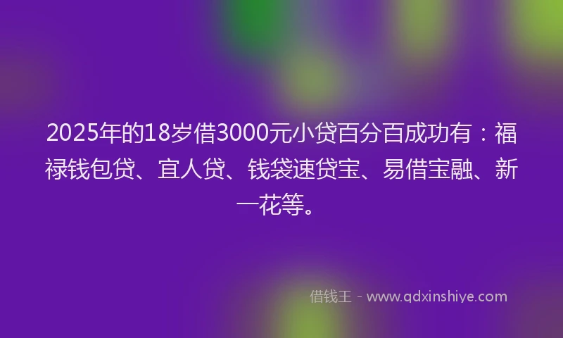 2025年的18岁借3000元小贷百分百成功有：福禄钱包贷、宜人贷、钱袋速贷宝、易借宝融、新一花等。