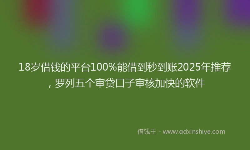 18岁借钱的平台100%能借到秒到账2025年推荐，罗列五个审贷口子审核加快的软件