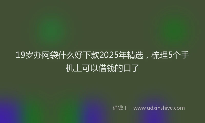 19岁办网袋什么好下款2025年精选，梳理5个手机上可以借钱的口子