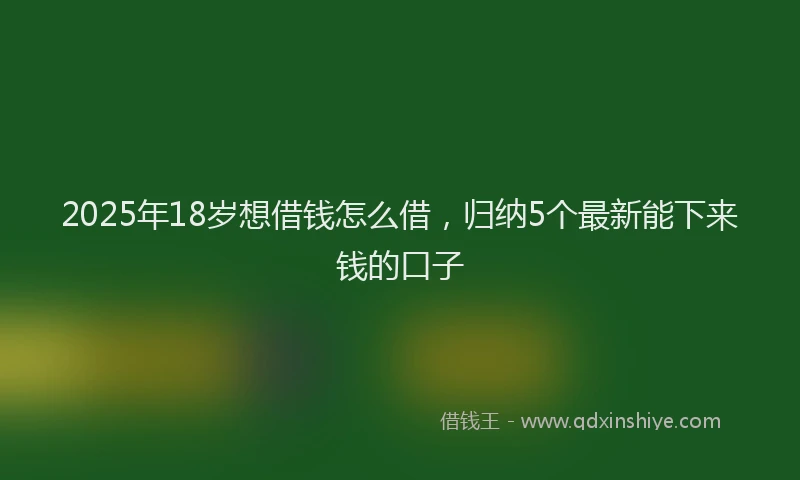 2025年18岁想借钱怎么借，归纳5个最新能下来钱的口子