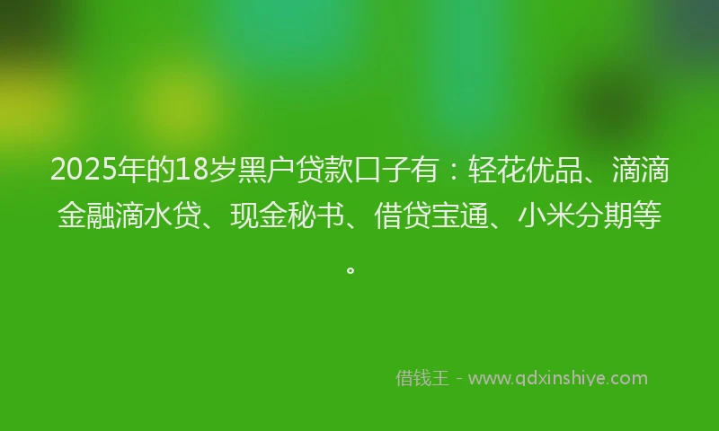 2025年的18岁黑户贷款口子有：轻花优品、滴滴金融滴水贷、现金秘书、借贷宝通、小米分期等。