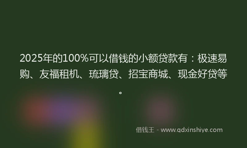 2025年的100%可以借钱的小额贷款有：极速易购、友福租机、琉璃贷、招宝商城、现金好贷等。