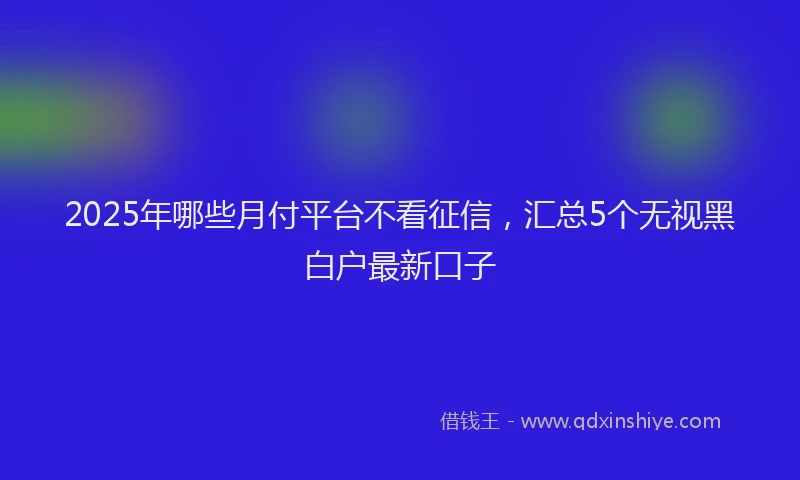 2025年哪些月付平台不看征信，汇总5个无视黑白户最新口子